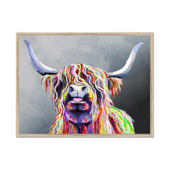 Colourful Highland Coo Framed Print