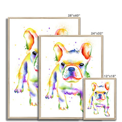 French Bulldog Rainbow Style Framed Print