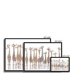 Line Of Giraffes Framed Print