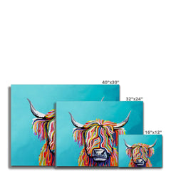 Scottish Cow Canvas Print