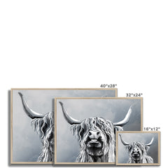 Highland Cattle Framed Print