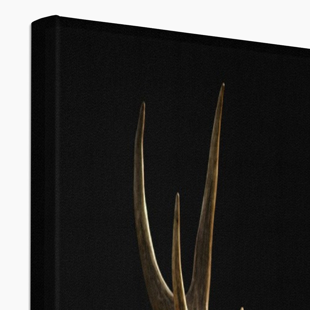 LevvArts - Black and White Wall Art Deer Picture Print on Canvas Wall  Painting Modern Living Room Wall Decal,Gallery Wrapped,Animal Canvas Wall  Art : : Home