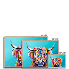 Scottish Cow Framed Print