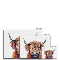 White Highland Cow Canvas Print