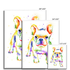 French Bulldog Rainbow Style Framed Print