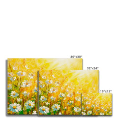 Meadow In Spring Canvas Print