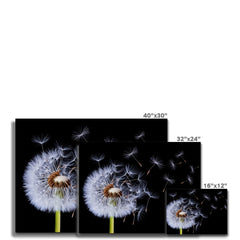 Dandelion Canvas Print