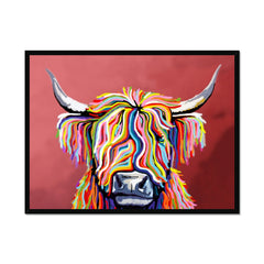 Highland Coo Framed Print