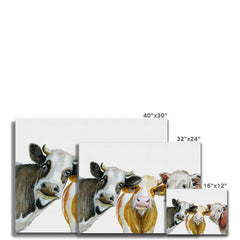 Trios Of Cows Canvas Print