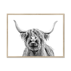 Cheeky Black And White Highland Cow Framed Print