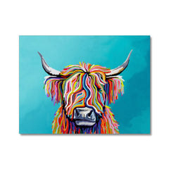 Scottish Cow Canvas Print