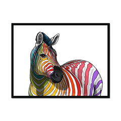 Rainbow Zebra White Framed Print