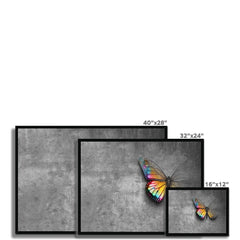 Butterfly Framed Print