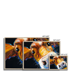 Nosy Cow Framed Print