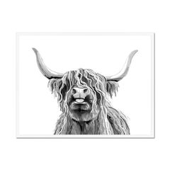 Cheeky Black And White Highland Cow Framed Print