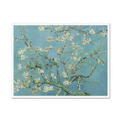 Almond Blossoms Framed Print