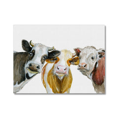 Trios Of Cows Canvas Print