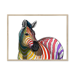 Rainbow Zebra White Framed Print