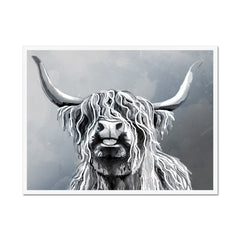 Highland Cattle Framed Print