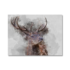 Stag Canvas Print