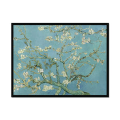 Almond Blossoms Framed Print