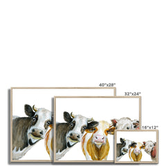 Trios Of Cows Framed Print