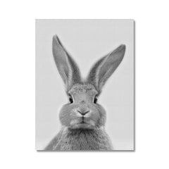 Bunny Rabbit Portrait Canvas Print