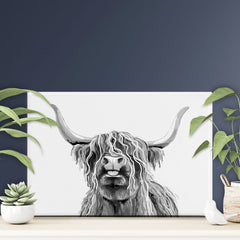 Cheeky Black And White Highland Cow Canvas Print