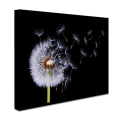 Dandelion Canvas Print