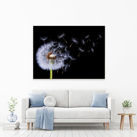 Dandelion Canvas Print