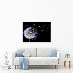 Dandelion Canvas Print