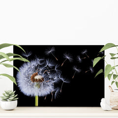 Dandelion Canvas Print