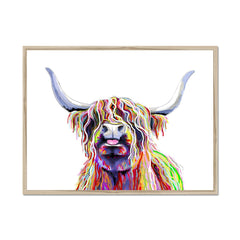 Cheeky White Highland Cow Framed Print