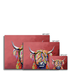 Highland Coo Canvas Print