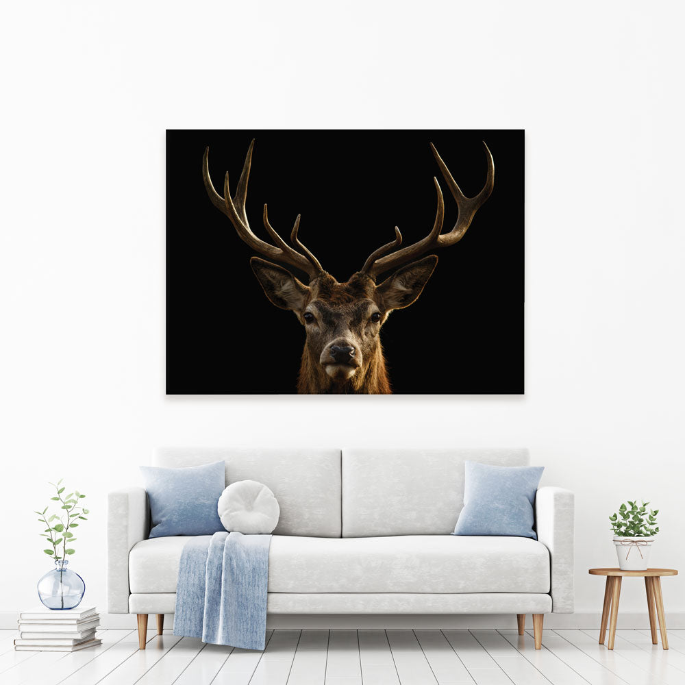 LevvArts - Black and White Wall Art Deer Picture Print on Canvas Wall  Painting Modern Living Room Wall Decal,Gallery Wrapped,Animal Canvas Wall  Art : : Home