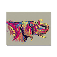 Multicoloured Elephant Canvas Print