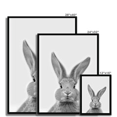 Bunny Rabbit Portrait Framed Print