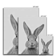 Bunny Rabbit Portrait Canvas Print