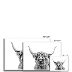 Cheeky Black And White Highland Cow Framed Print