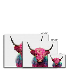 Colourful Pink Highland Cow Canvas Print