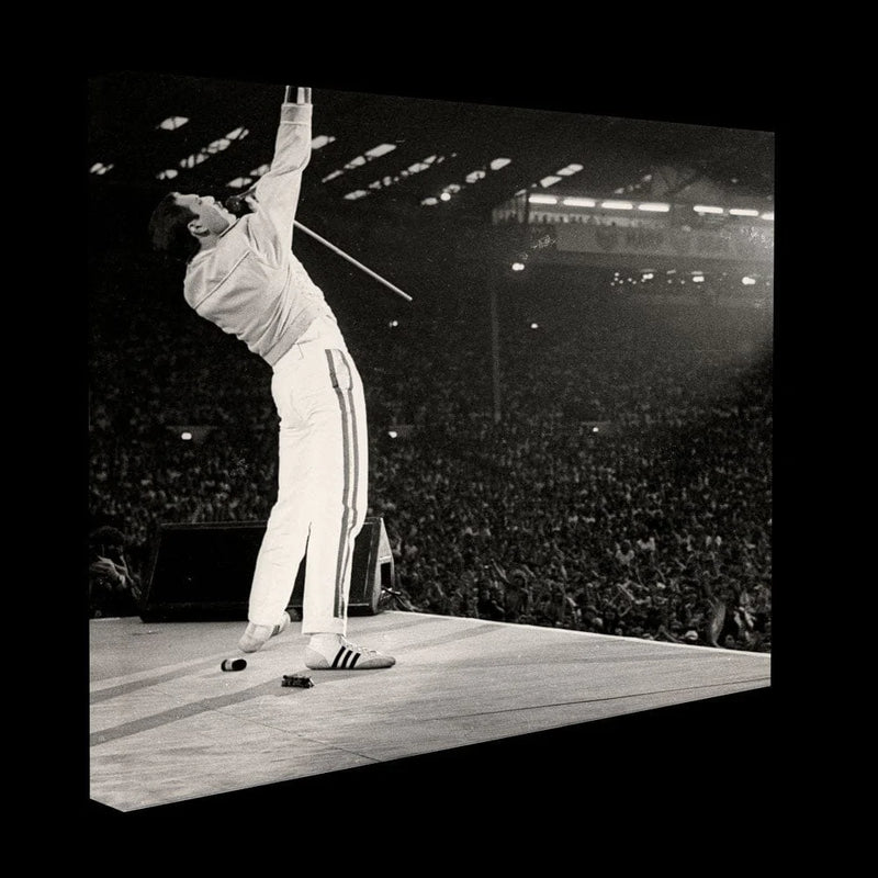 Freddie Test Image Canvas Print