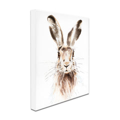 Harry The Hare Canvas Print