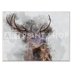 Stag Canvas Print