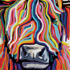 White Highland Cow Canvas Print